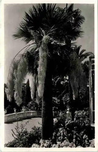 Sotschi Russia -628470