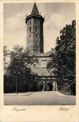 Liegnitz - Schloss -628688