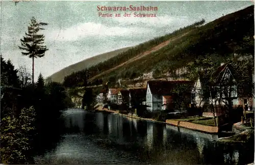 Schwarza-Saalbahn, Partie an der Schwarza -519214