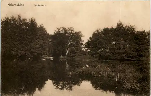 Halsmühlen - Mühlenteich - Verden -601356