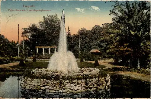 Liegnitz - Palmenhain und Leuchtspringbrunnen -628758