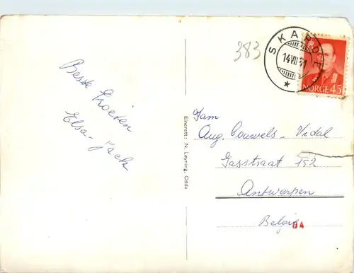 Norge, Odda Hardanger -392358