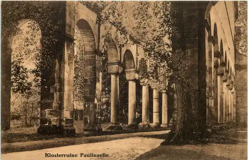 Paulinzella, Klosterruine, -519004