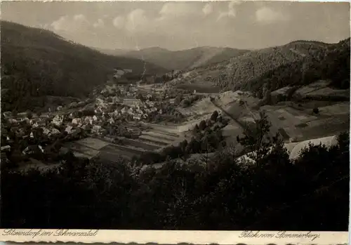 Sitzendorf, Thür. Wald, Blick vom Sommerberg -518880