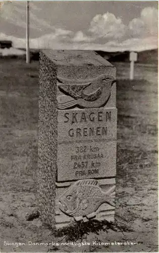 Skagen -629466