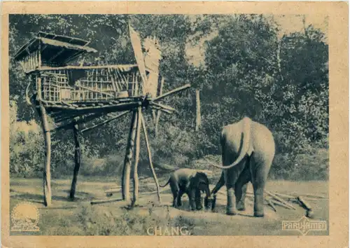 Chang - Elefant -602176