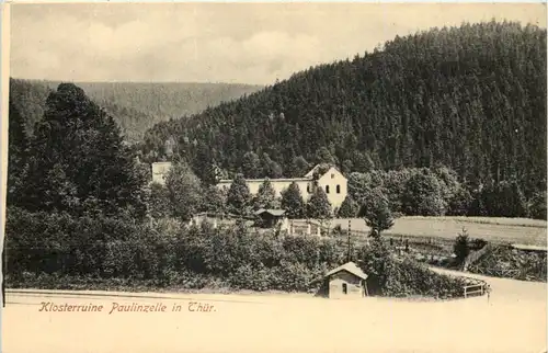 Paulinzella, Klosterruine, -519060