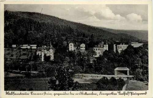 Saalfeld/Saale, Waldsanatorium Sommerstein -519464