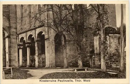 Paulinzella i. Thür., Klosterruine -519120