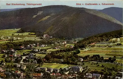 Bad Blankenburg, Blick von Greifenstein n. Schwarzeck -519524