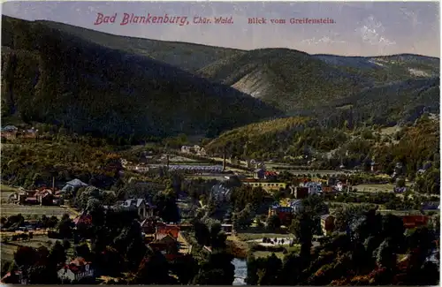 Bad Blankenburg, Blick vom Greifenstein -519604