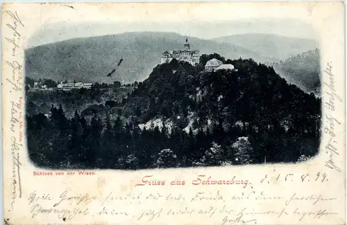 Schwarzburg, Schloss von der Wiese -518930