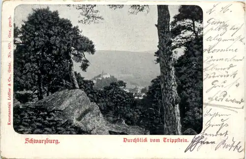 Schwarzburg, Durchblick vom Trippstein -518896