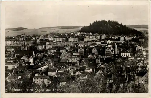 Pössneck, Blick gegen die Altenburg -518858