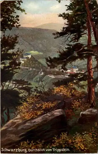 Schwarzburg, Durchblick vom Trippstein -518918