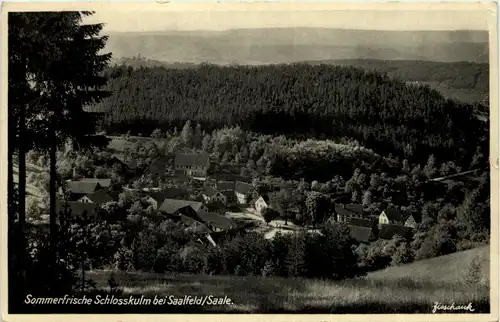 Sommerfrische Schlosskulm bei Saalfeld -519210