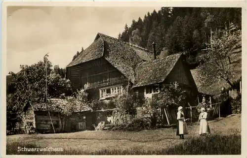 Schwarzwaldhaus -519944
