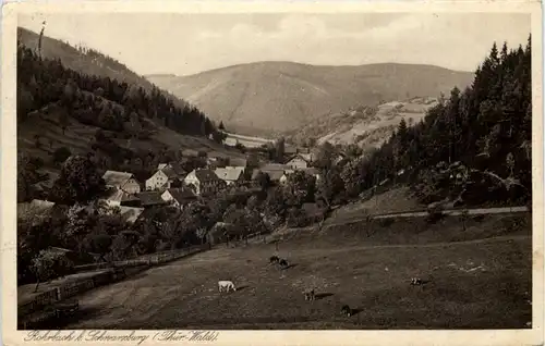 Rohrbach b. Schwarzburg -519202