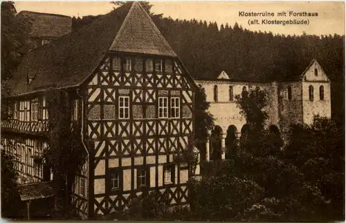 Paulinzella, Klosterruine mit Forsthaus -520364