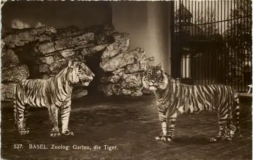 Basel - Zoologischer Garten - Tiger -603256