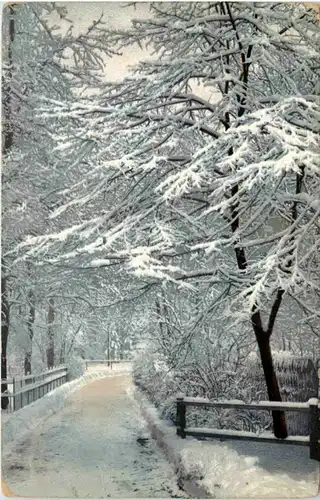 Dresden, Grosser Garten im Schnee -520080