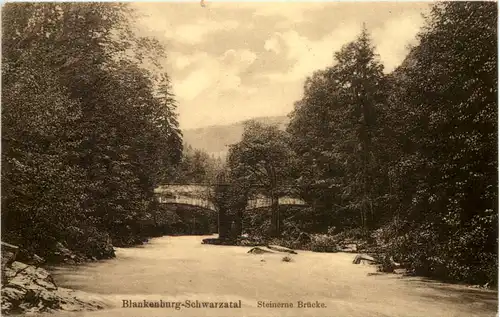 Bad Blankenburg, Steinerne Brücke -519516