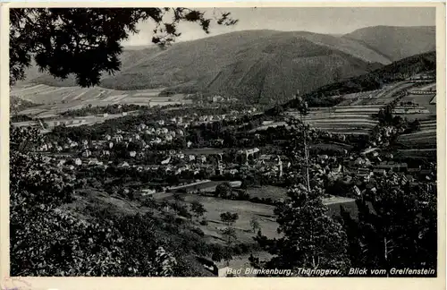 Bad Blankenburg, Blick vom Greifenstein -519662