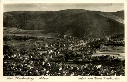 Bad Blankenburg, Blick vom Greifenstein -519658