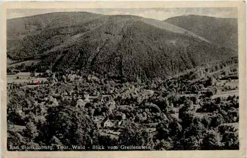 Bad Blankenburg, Blick vom Greifenstein -519656