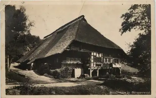 Bauernhaus im Schwarzwald -519930
