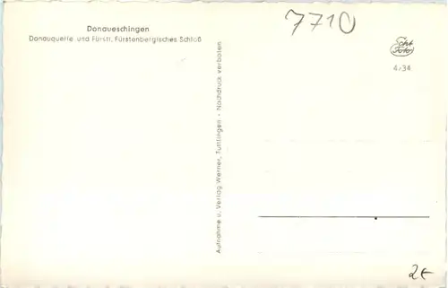 Donaueschingen, Donauquelle und Schloss -519798