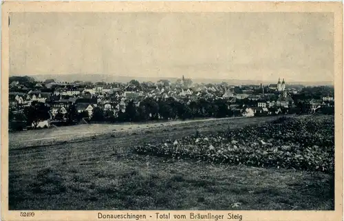 Donaueschingen, Total vom Bräunlinger Steig -519816