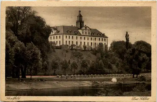 Saalfeld/Saale, Das Schloss -519876