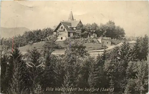 Saalfeld, Villa Waldfrieden -521064