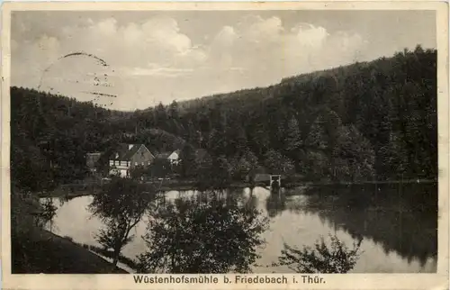 Friedebach i. Thür., Wüstenhofsmühle -520216