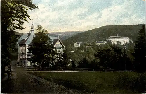 Schwarzburg i. Thür., Weisser Hirsch mit Schloss -520298