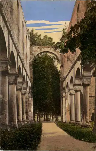 Paulinzella i. Thür., Klosterruine vom Portal aus -519152