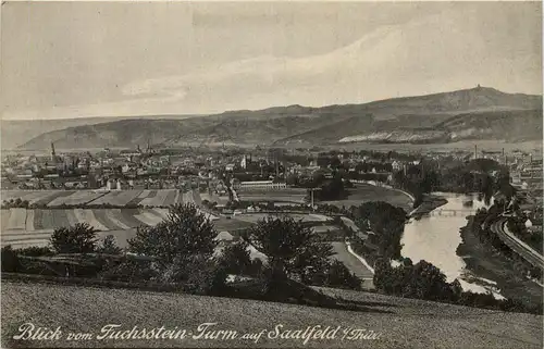 Saalfeld, Blick vom Fuchsstein-Turm -519332
