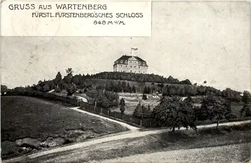 Gruss aus Wartenberg, Fürstl. Fürstenbersches Schloss - Geisingen -520730
