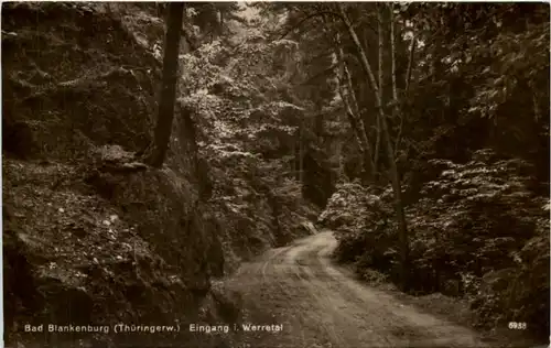 Bad Blankenburg, Eingang i. Werratal -519652
