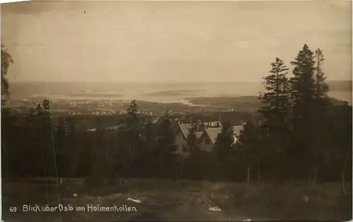 Blick über Oslo von Holmenkollen -630474