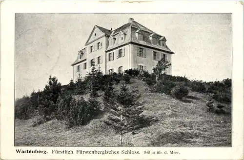 Wartenberg, Fürstlich Fürstenbergiscshes Schloss - Geisingen -521122