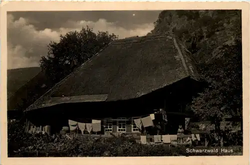 Schwarzwaldhaus -519932