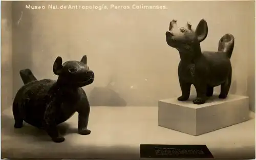 Mexico - Museo Nal. de Antropologia - Perros Colimenses -630690