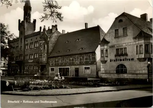 Bitterfeld, Rathaus und Stadtmuseum -395650