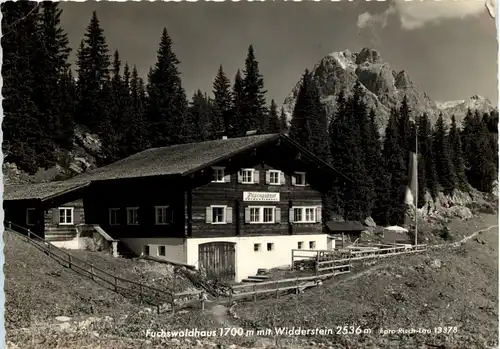 Fuchswaldhaus mit Widderstein -630006