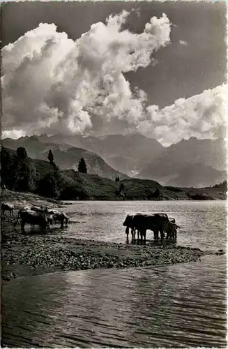 Braunwald Glarus -630326