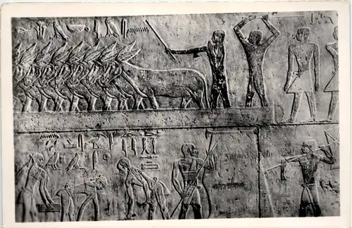 Egypt - Sakkara - Tomb of Ti -630632