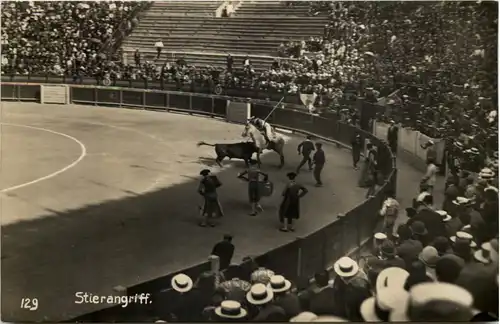 Stierkampf - Stierangriff -630608