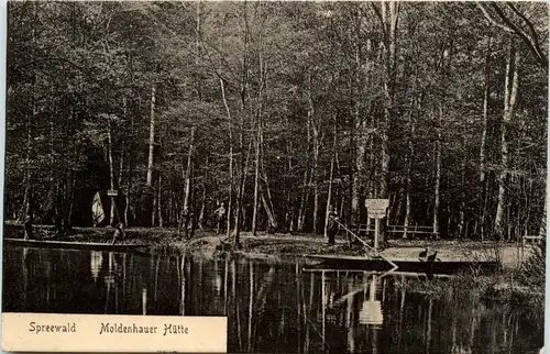 Spreewaldbilder, Moldenhauer Hütte -396346